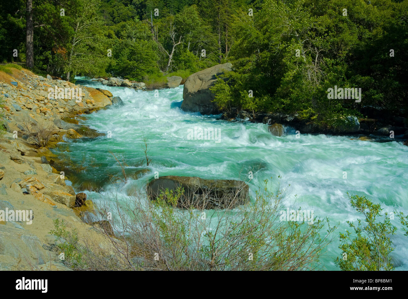 Mersed rivière à Yosemite National Park, l'eau en mouvement rapide Banque D'Images