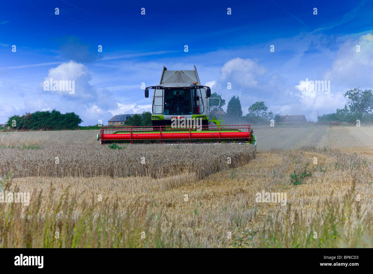 Une moissonneuse-batteuse la récolte d'un champ de blé Banque D'Images