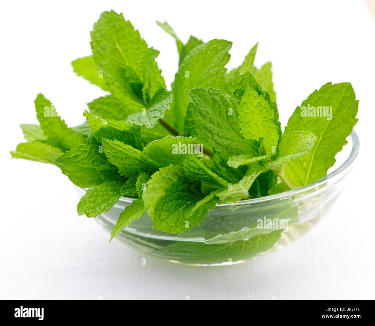 Bouquet de feuilles de menthe fraîche dans un bol en verre clair Banque D'Images