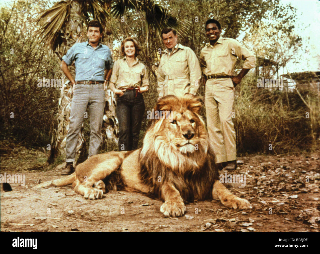 cheryl-miller-yale-summers-marshall-thompson-hari-rhodes-clarence-daktari-1966-bp8jde.jpg