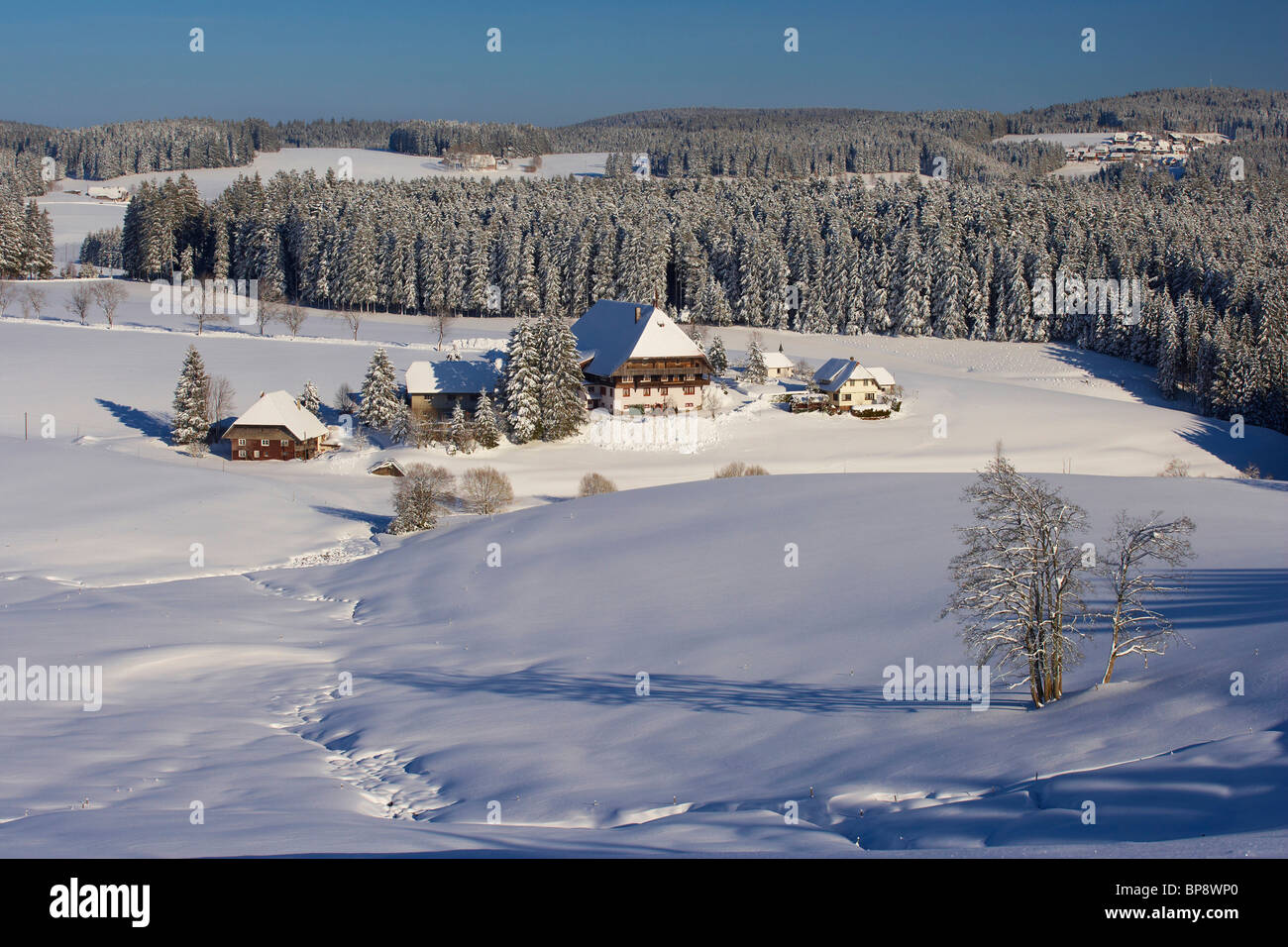 Voir à Unterfallengrundhof (ferme) à proximité de Guetenbach, un jour d'hiver, près de Furtwangen, Forêt Noire, Bade-Wurtemberg Banque D'Images