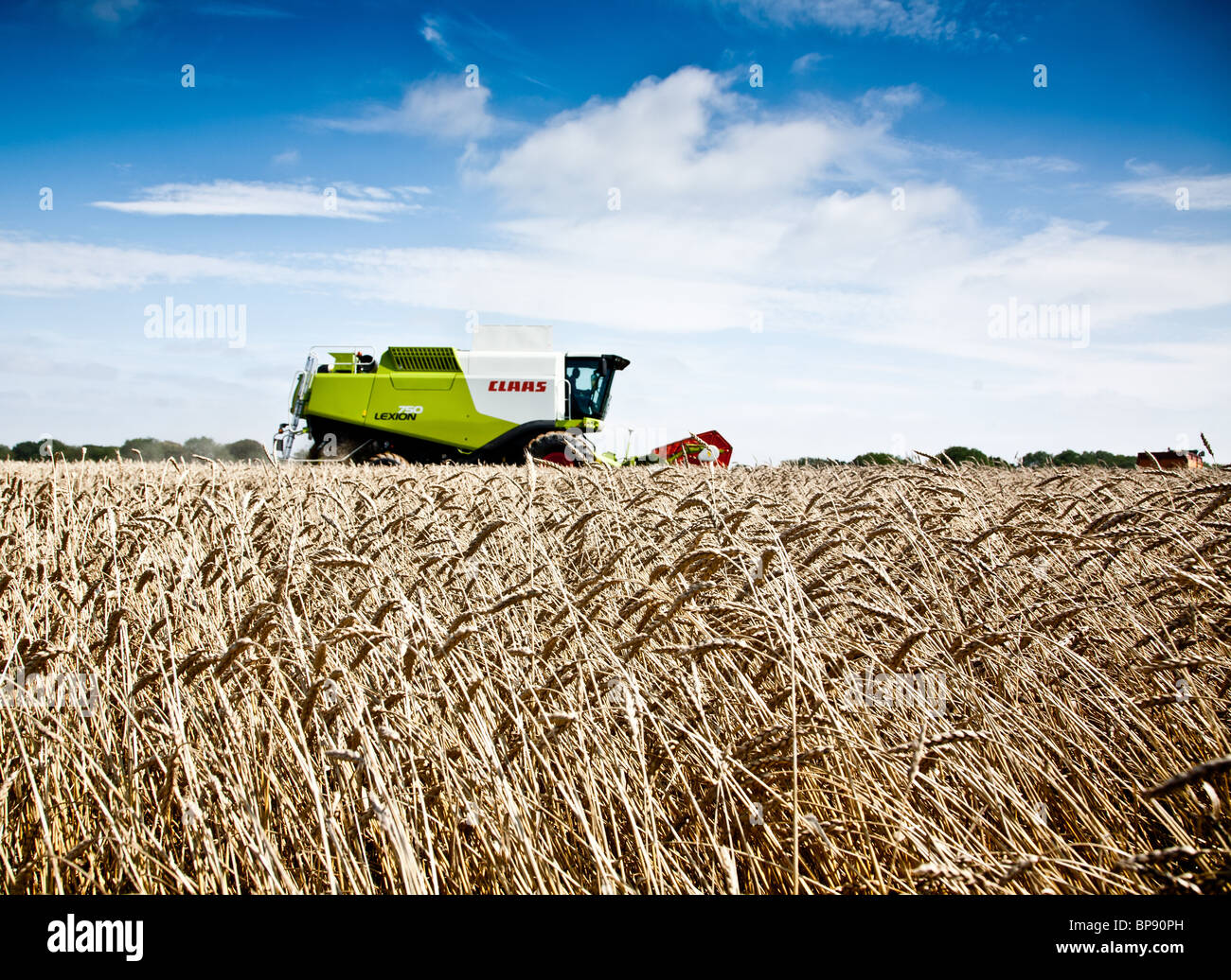 Rendmt Lexion Montana Claas 750 blé rouge combinant près de Tatsfield, Surrey Banque D'Images