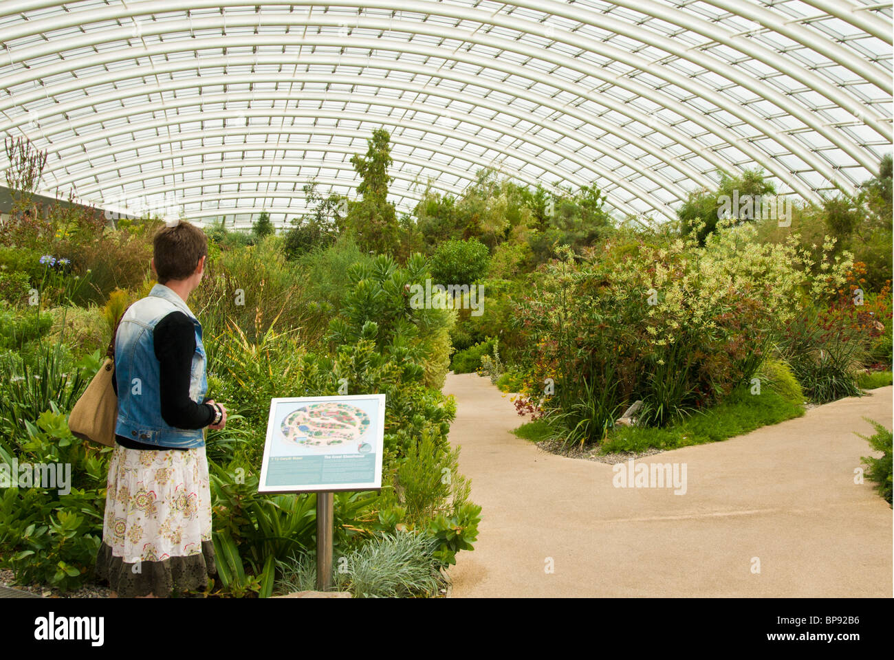 Jardin Botanique National du Pays de Galles Grand Serre Banque D'Images