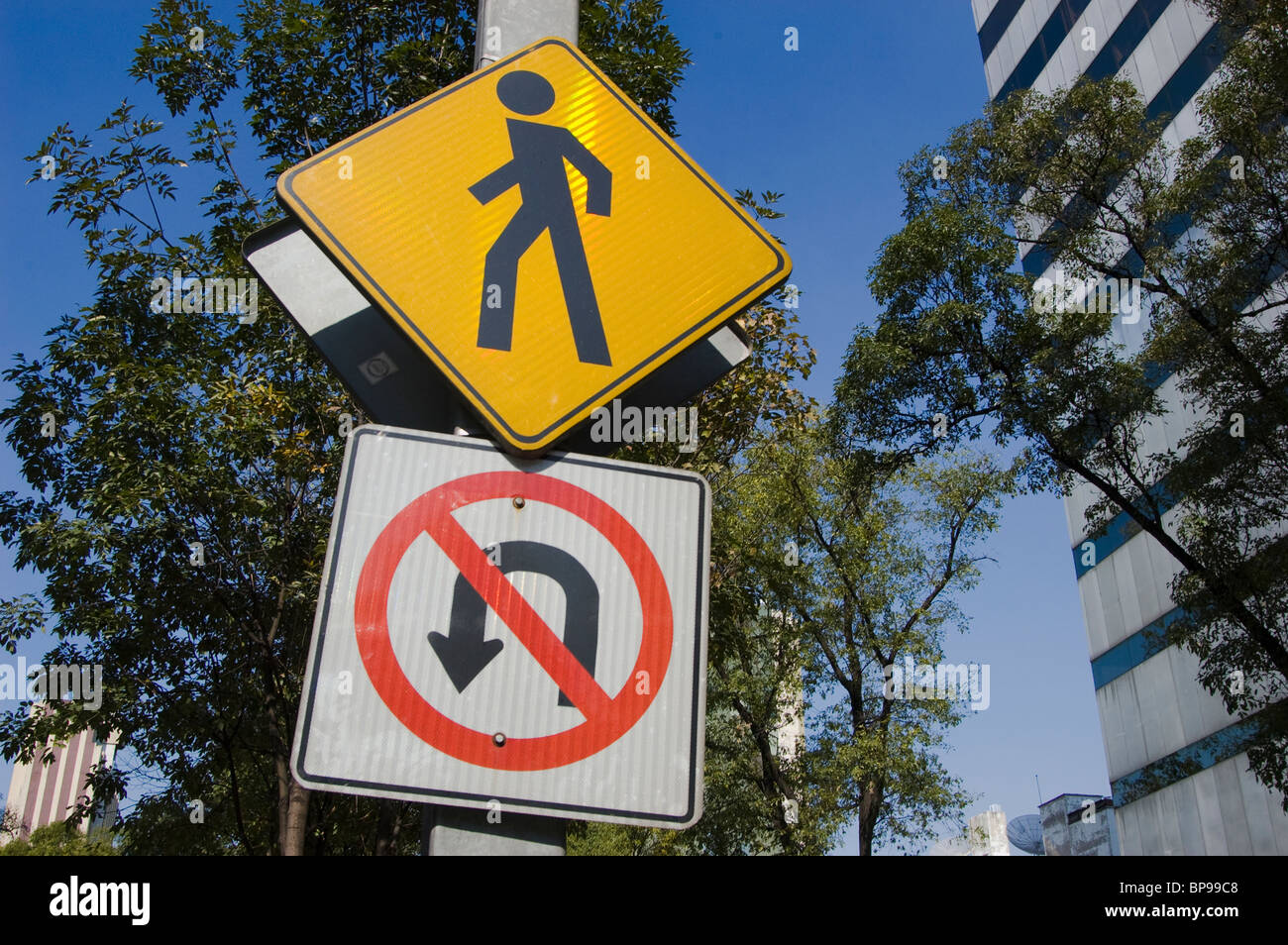 Signe de l'Avenue Insurgentes Mexico City Banque D'Images