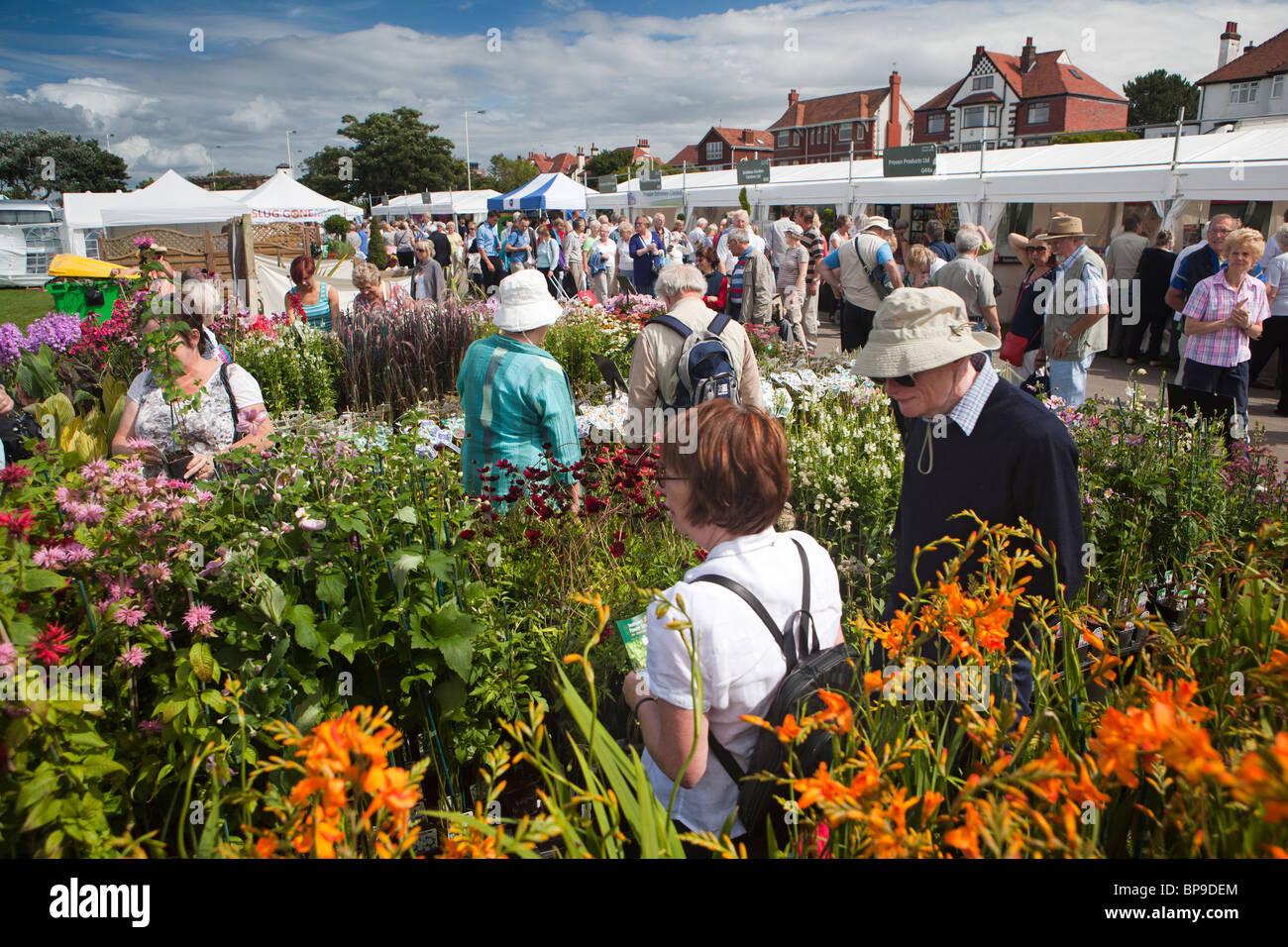Royaume-uni, Angleterre, Merseyside, Southport Flower Show, les stands, les visiteurs qui cherchent à vendre des plantes Banque D'Images