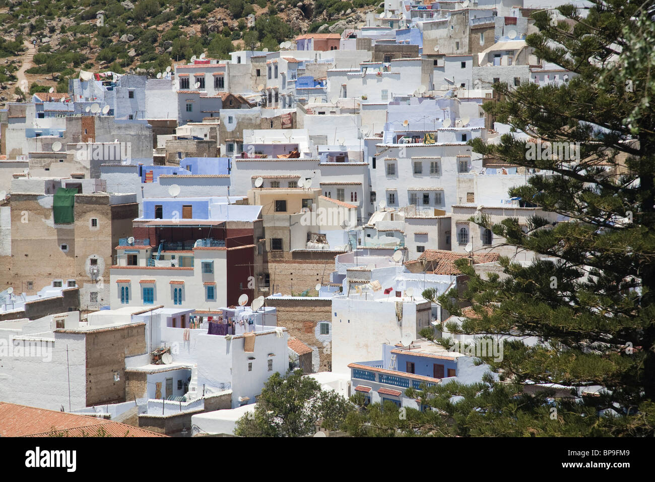 Vue sur la ville, célèbre pour ses maisons bleues, Chefchaouen, Maroc Banque D'Images