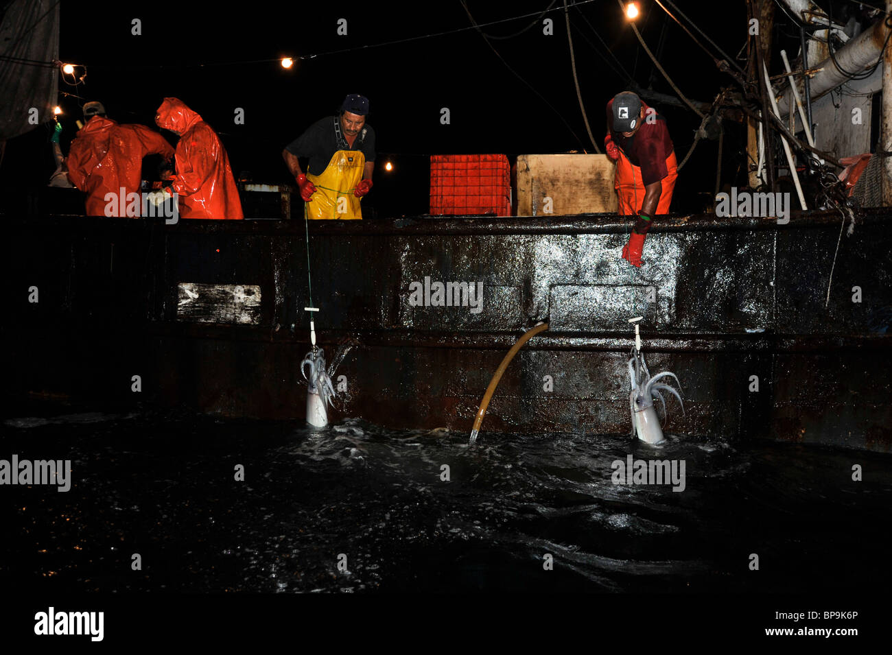 Pêche Les pêcheurs locaux de calmar de Humboldt dans la mer de Cortez Banque D'Images