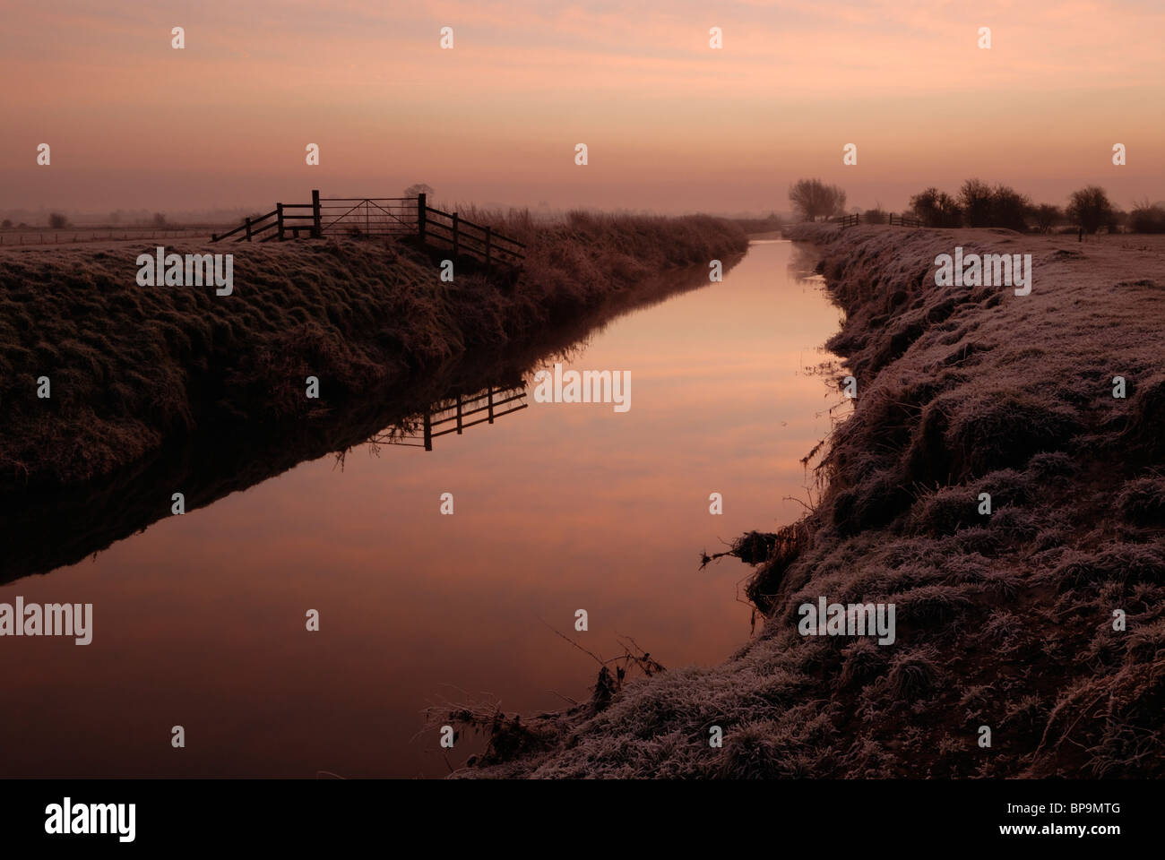 Un lever de soleil rose reflète dans les eaux calmes de la rivière Brue près de Glastonbury sur Somerset Levels. Banque D'Images