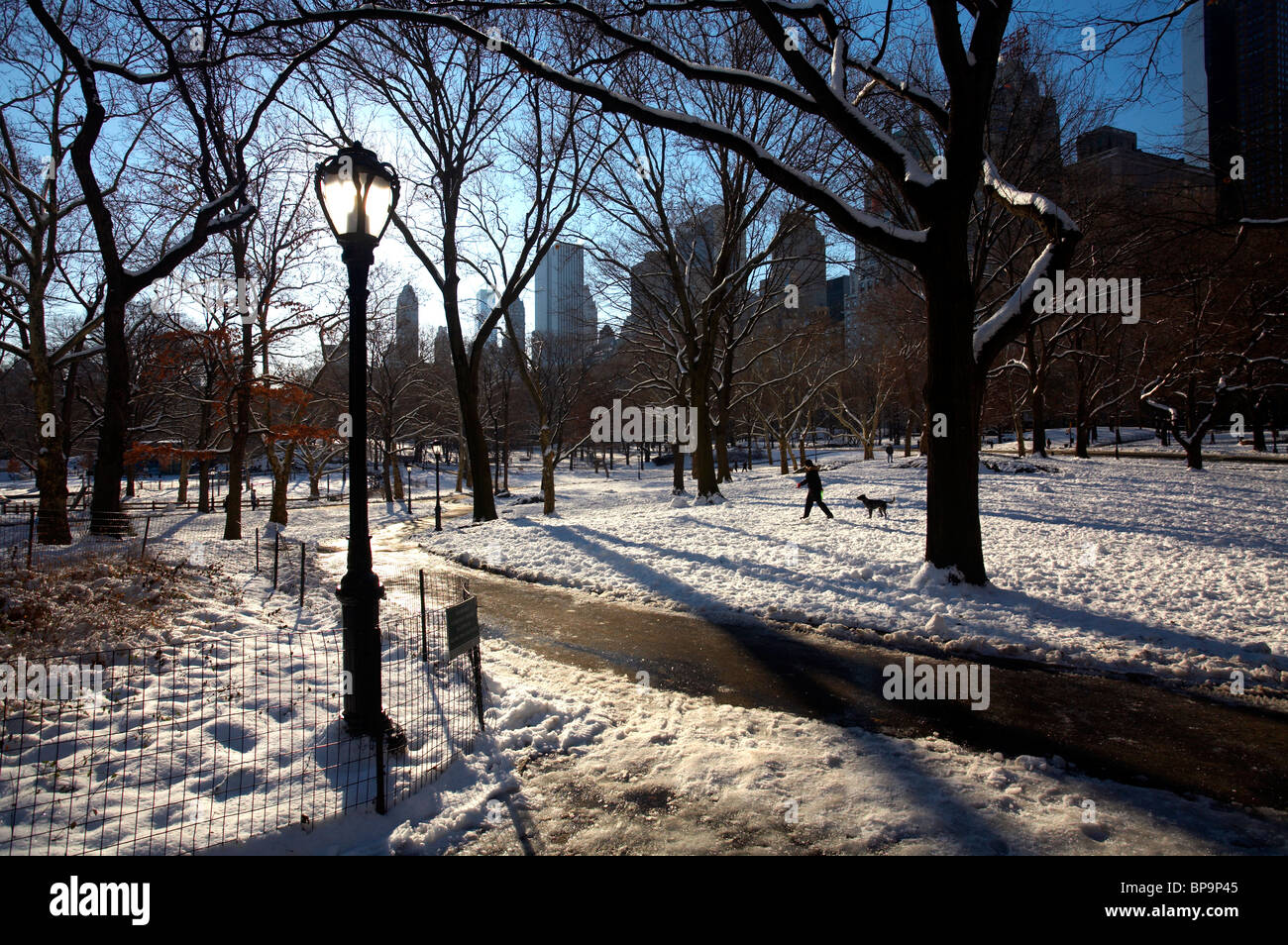 Central Park New York sous la neige, février. Banque D'Images