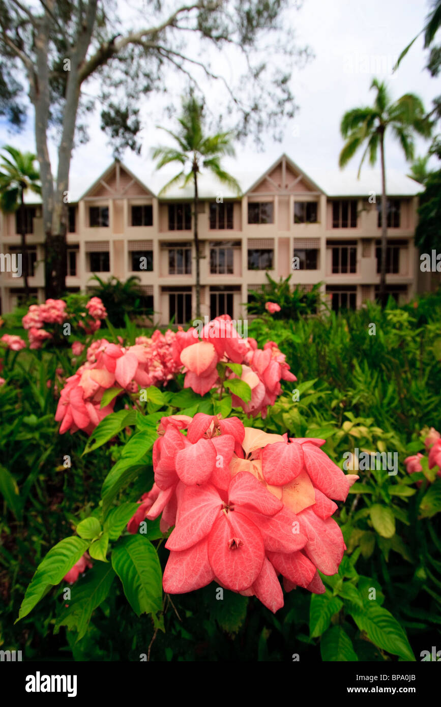 Hébergement de style resort et de belles fleurs à l'hôtel Sheraton Mirage Resort, Port Douglas, loin au nord du Queensland en Australie Banque D'Images