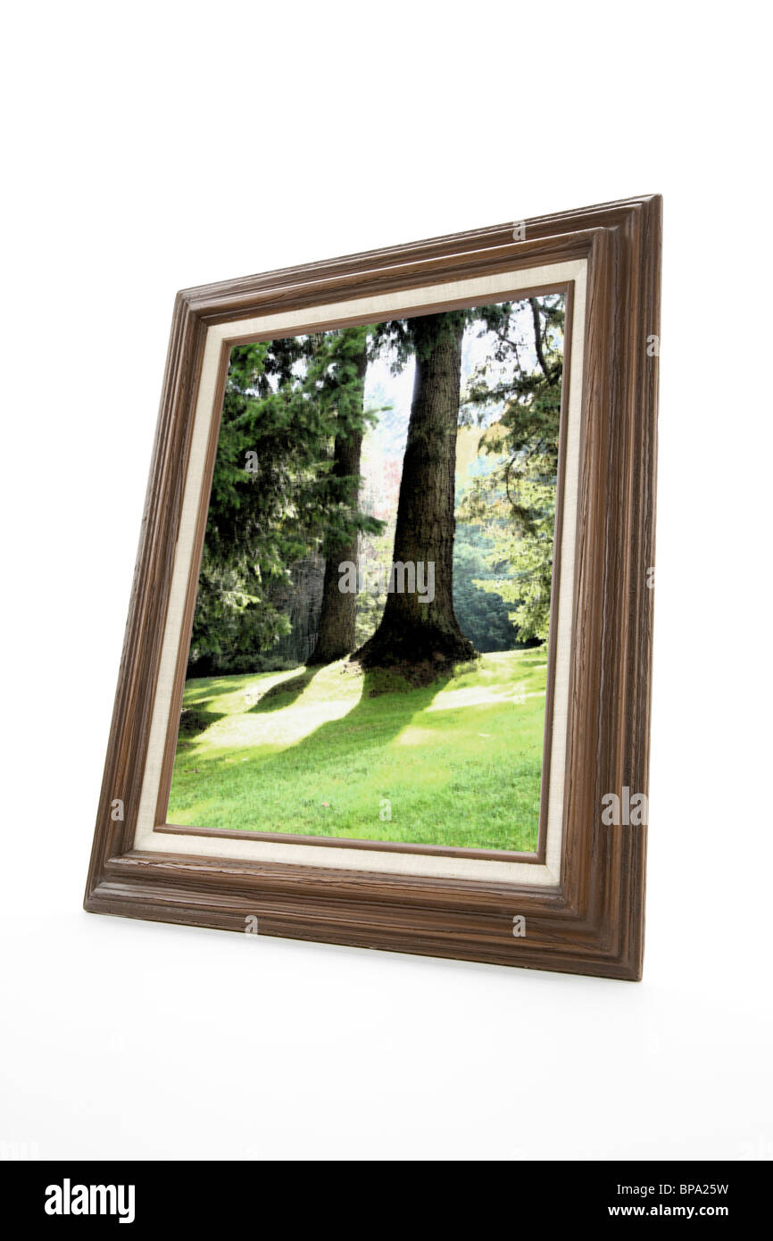 Cadre Photo en bois avec la peinture Banque D'Images