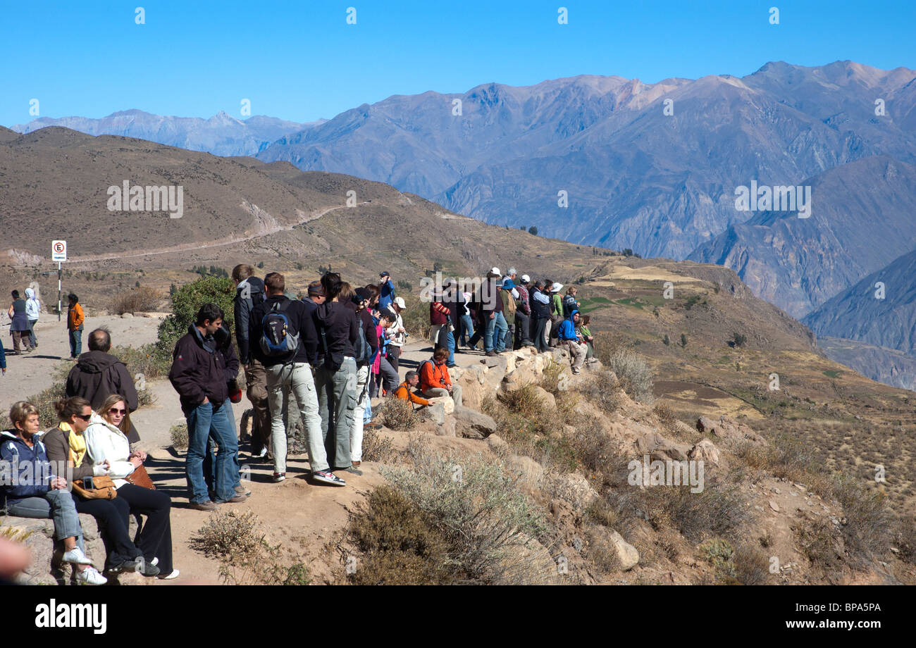 Attendre que les touristes les condors voler dans le Canyon de Colca, Pérou. Banque D'Images
