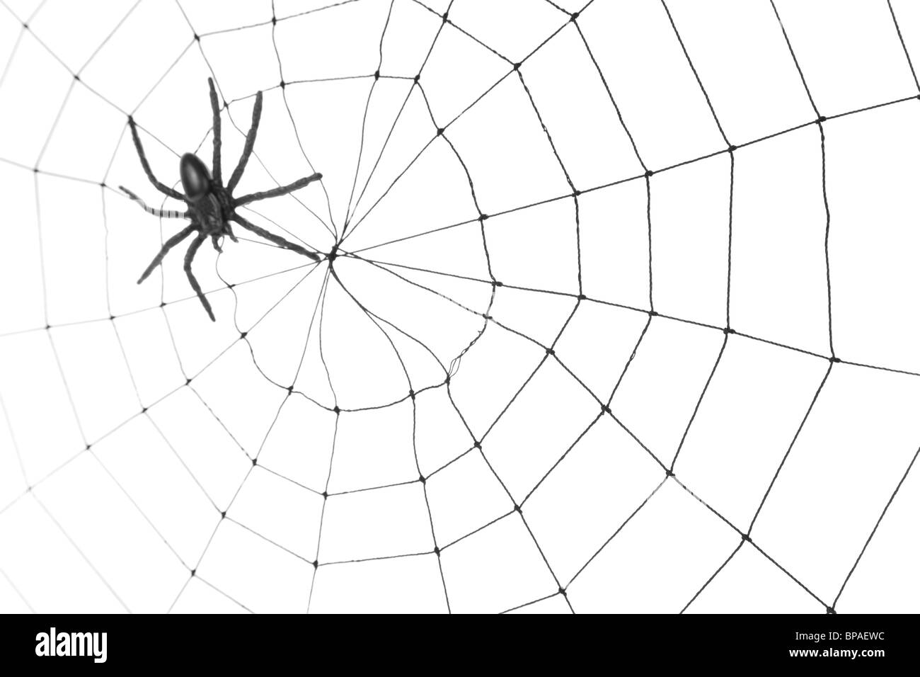 Spider Web pour utiliser l'arrière-plan Banque D'Images