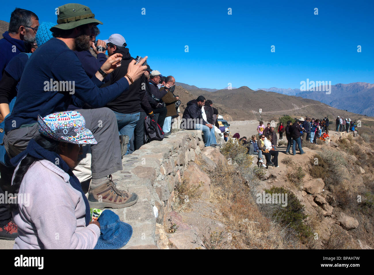 Attendre que les touristes les condors voler dans le Canyon de Colca, Pérou. Banque D'Images