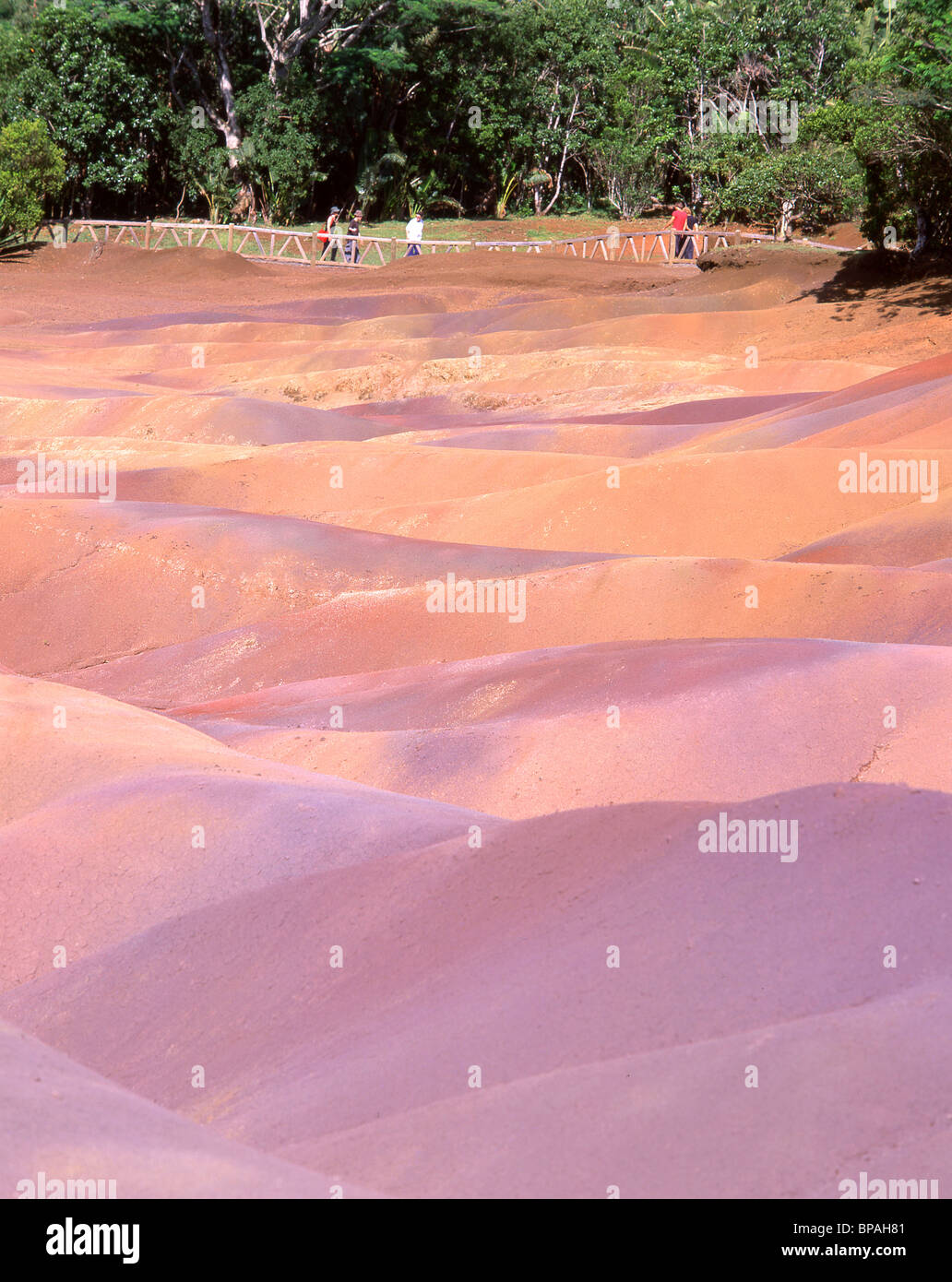 Chamarel terre de couleur, de Rivière Noire, République de Maurice Banque D'Images