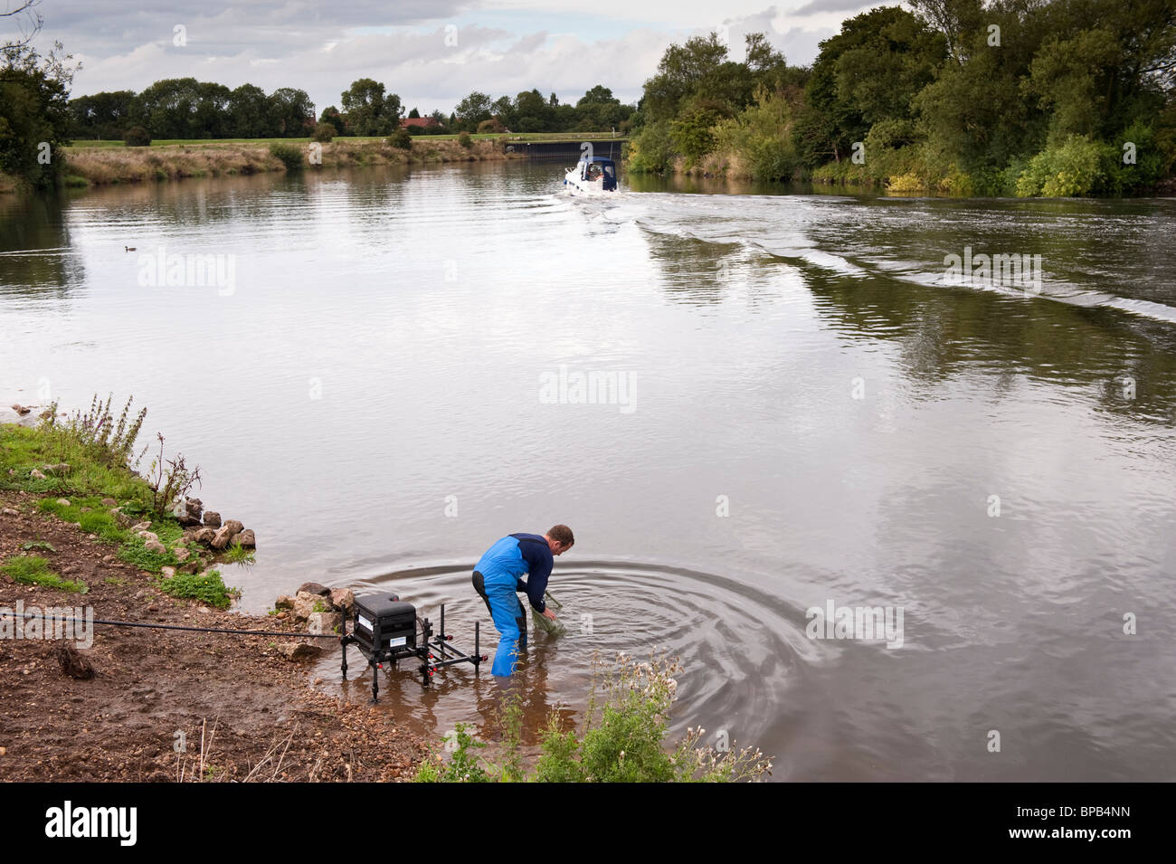 Male Angler libérant ses prises de pêche sur la Trent non Tidal River à Fiskerton Nottinghamshire Banque D'Images