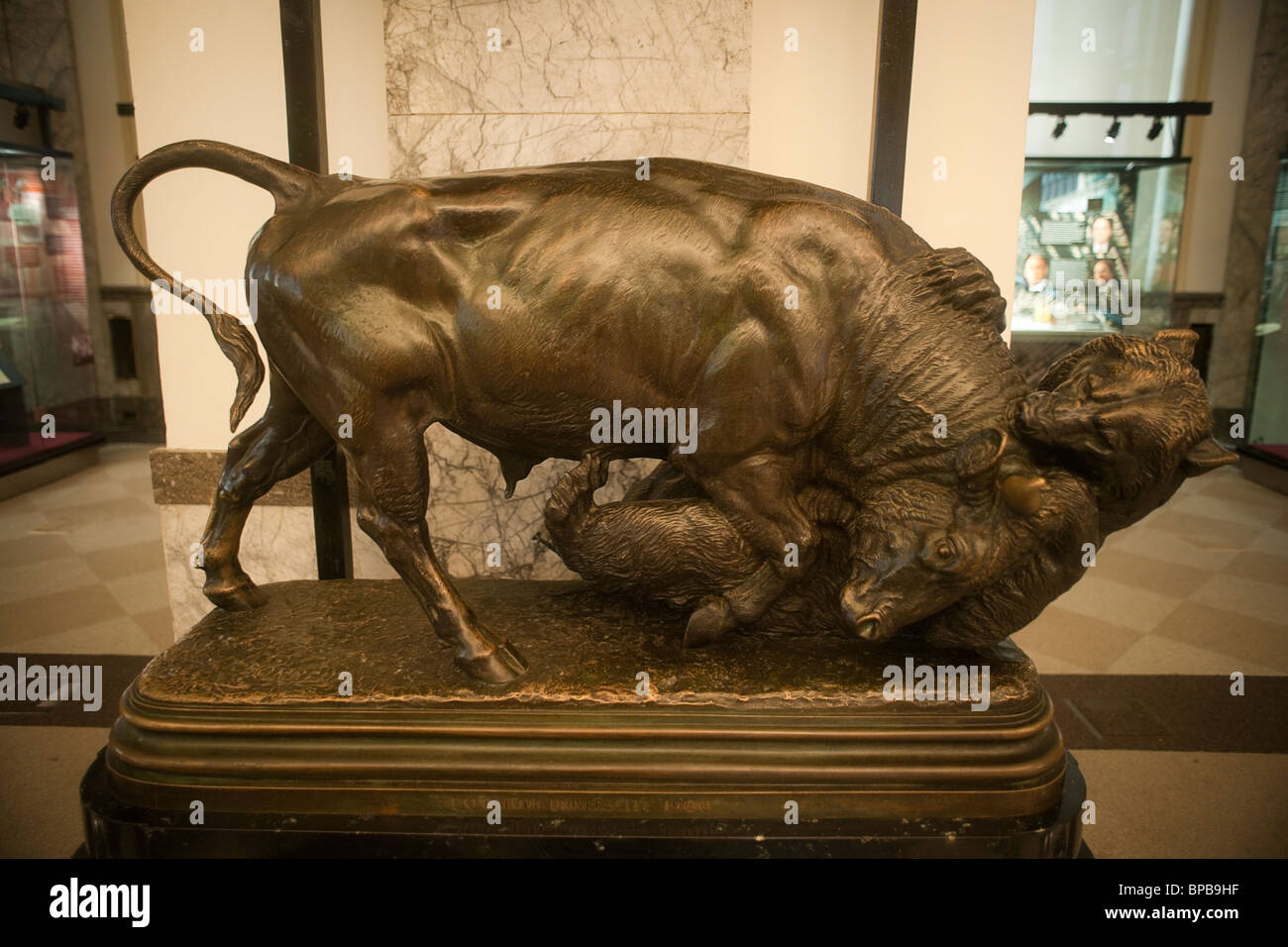 Une statue en bronze d'un taureau avec un ours en exposition dans le Musée de l'American Finance de Wall Street à New York Banque D'Images