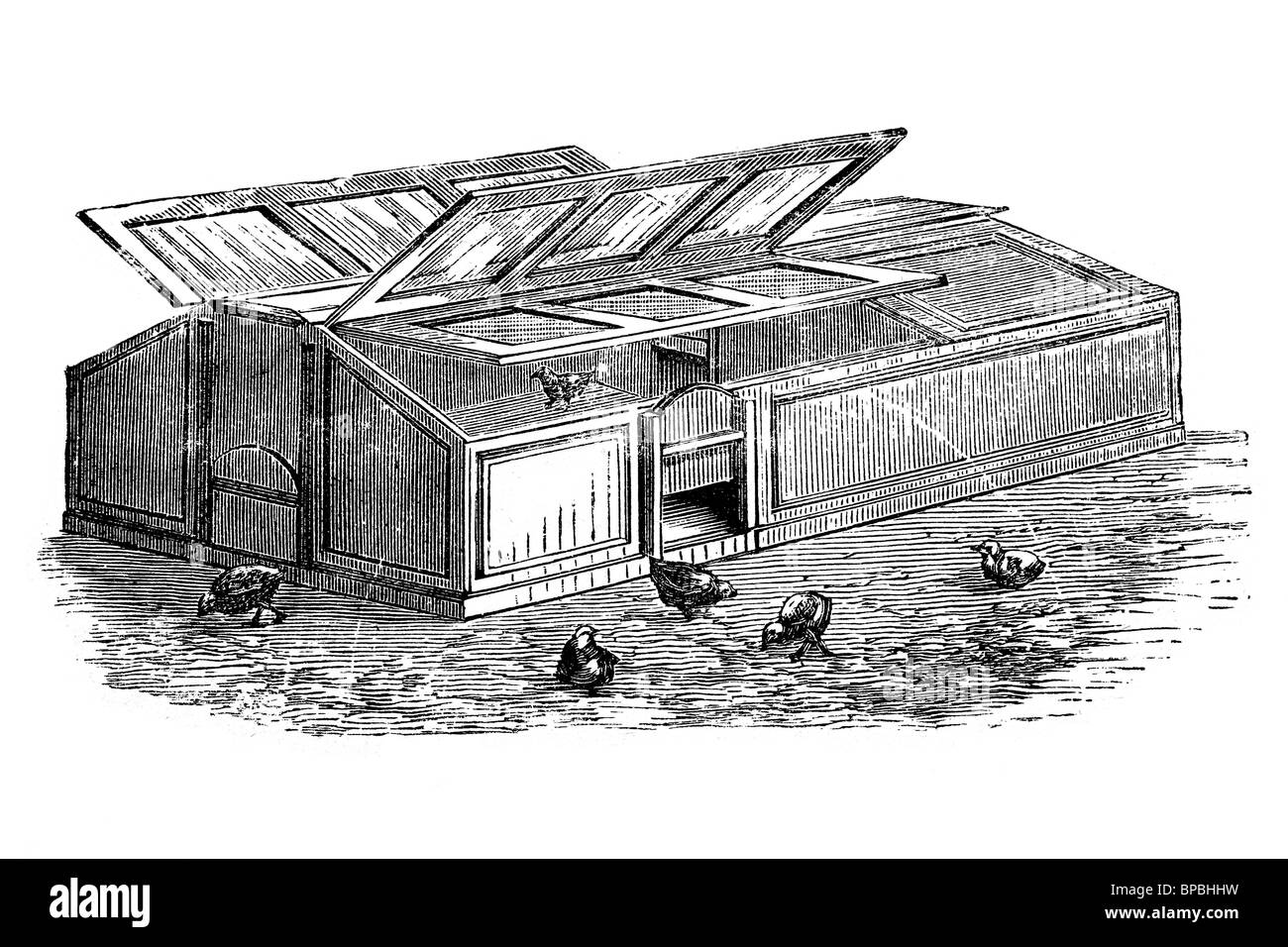 Cage pour protéger les poussins. Illustration d'antiquités. 1900. Banque D'Images