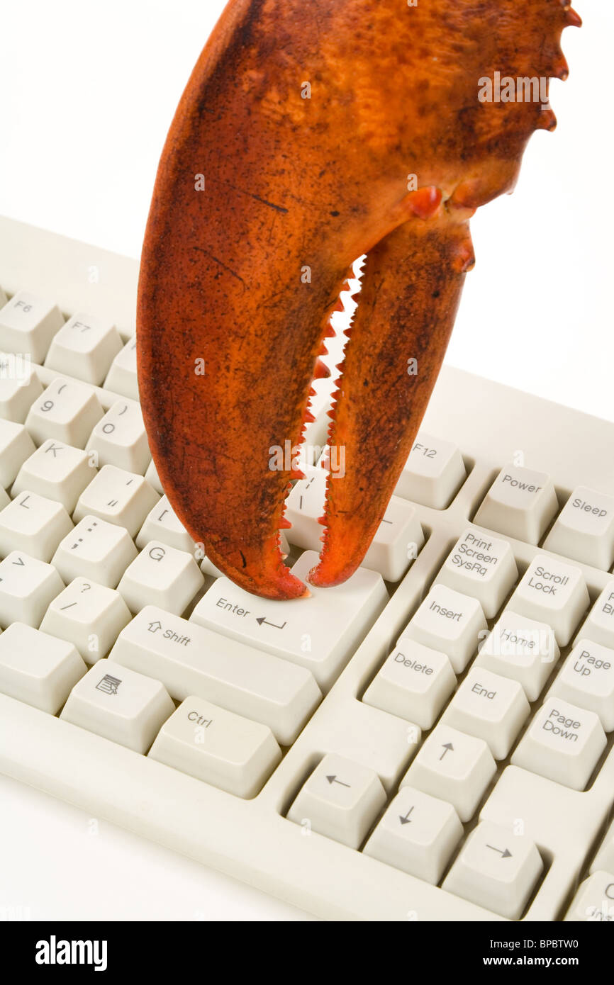 Pince de homard et clavier de l'ordinateur, du concept d'Internet, dans l'activité criminelle Banque D'Images