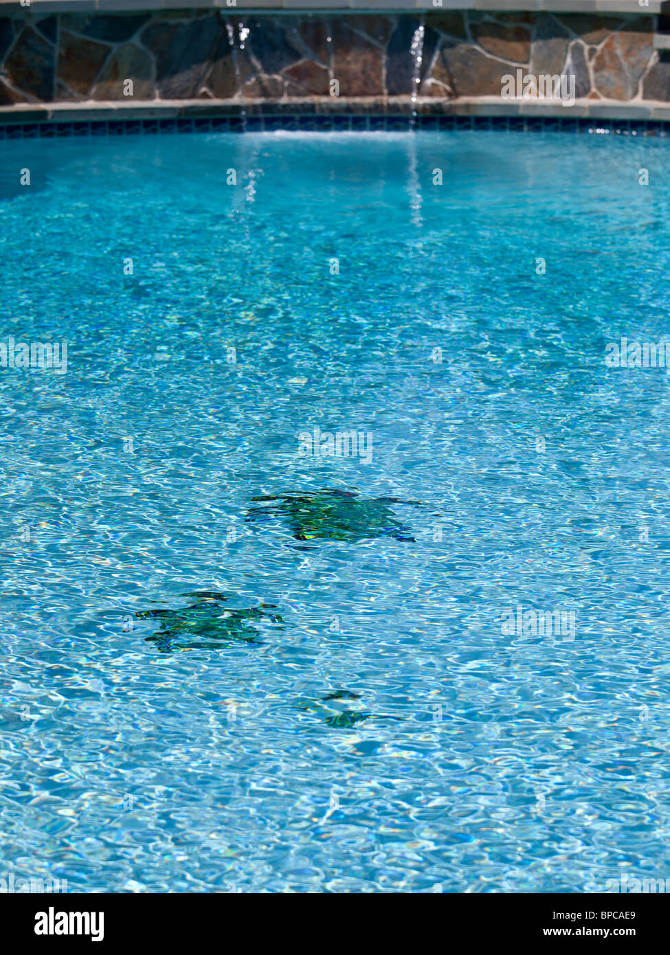 Sol carrelé trois formes de tortues sur le plancher d'une piscine bleu avec des ondulations et un lointain hors focus waterfall Banque D'Images