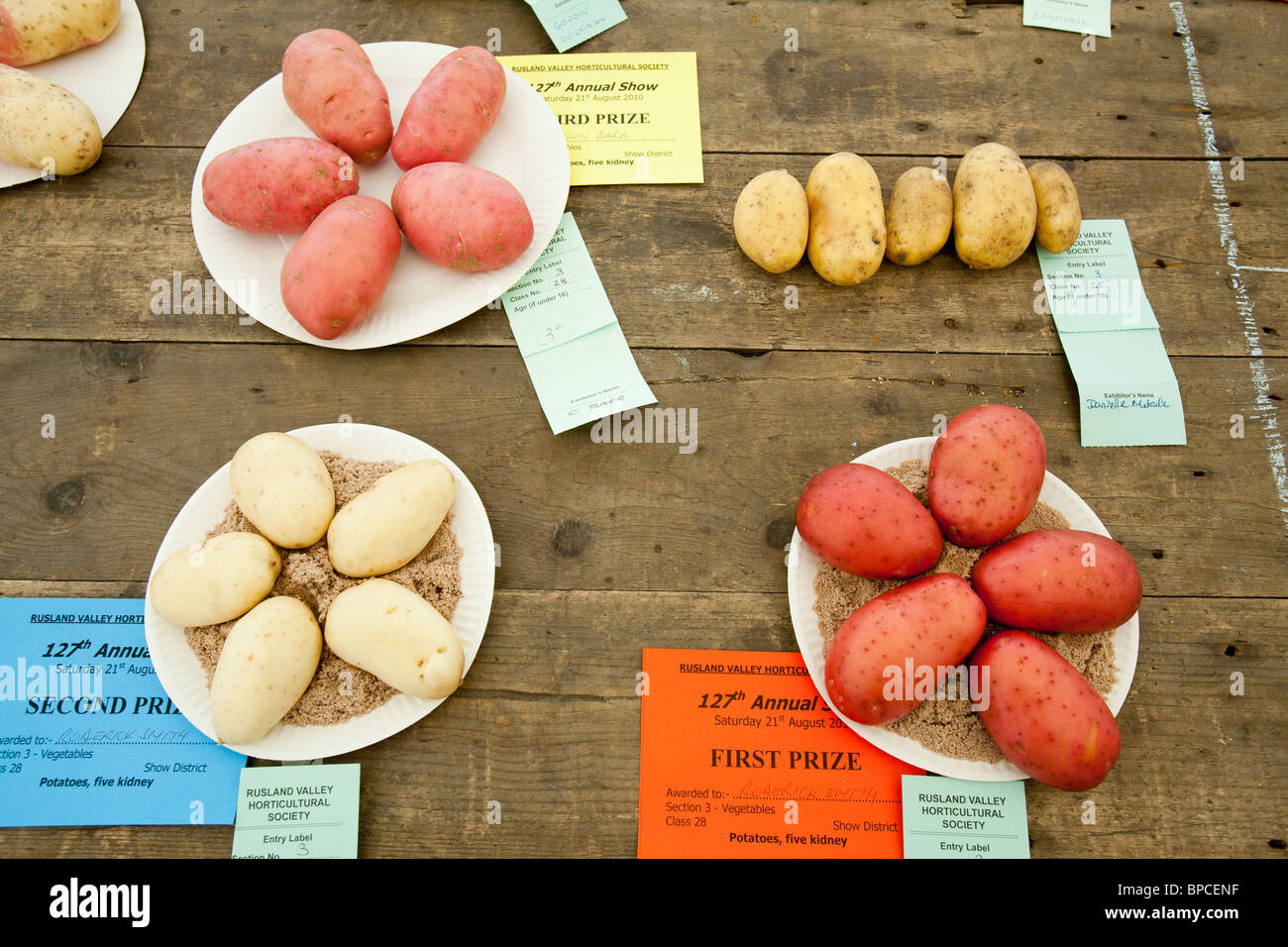 Les pommes de terre dans la tente de produire à l'Rusland Vale Horticultural Society foire annuelle. Banque D'Images