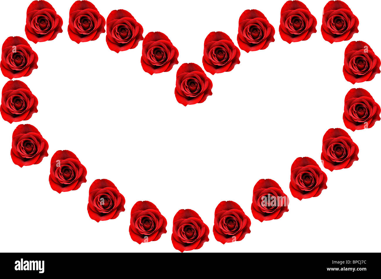 Roses en forme de coeur isolé sur fond blanc. Banque D'Images