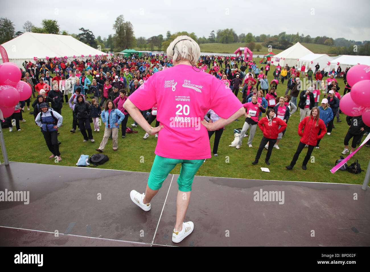 Ruban Rose à pied warm-up bleinham palace Banque D'Images