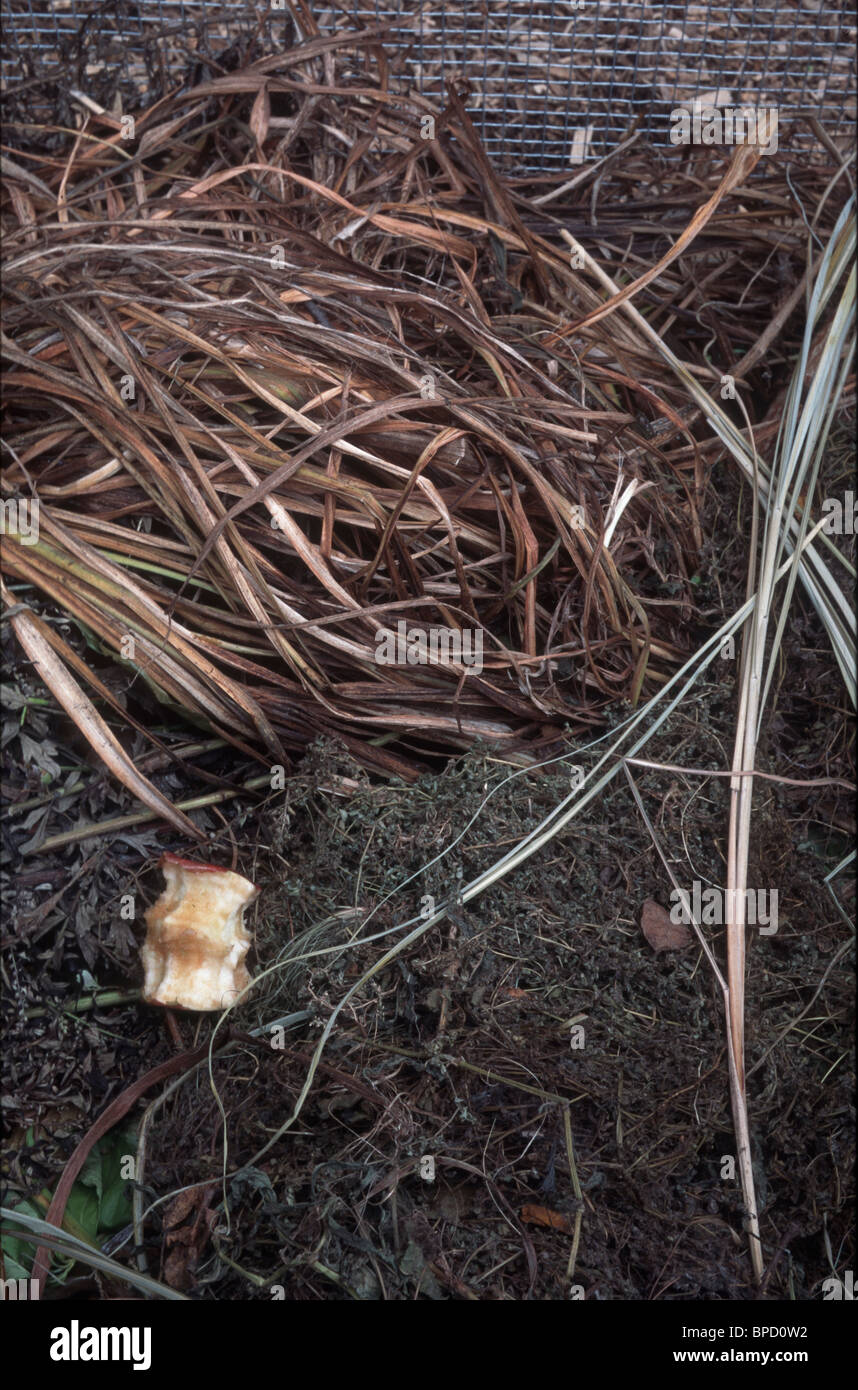 Fabrication du compost, l'étape 1 de 3, deuxième d'une série de décomposition organique étape par étape - voir étapes 2 & 3 processus éducatif Banque D'Images