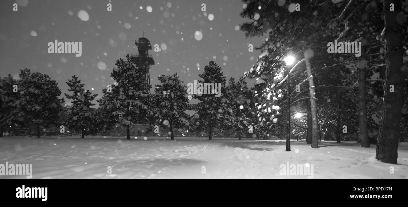 Une scène nocturne en noir et blanc d'un paysage enneigé avec des pins couverts de neige. Une grande tour métallique d'observation ou de communication se dresse en arrière-plan parmi les arbres. La neige est active Banque D'Images