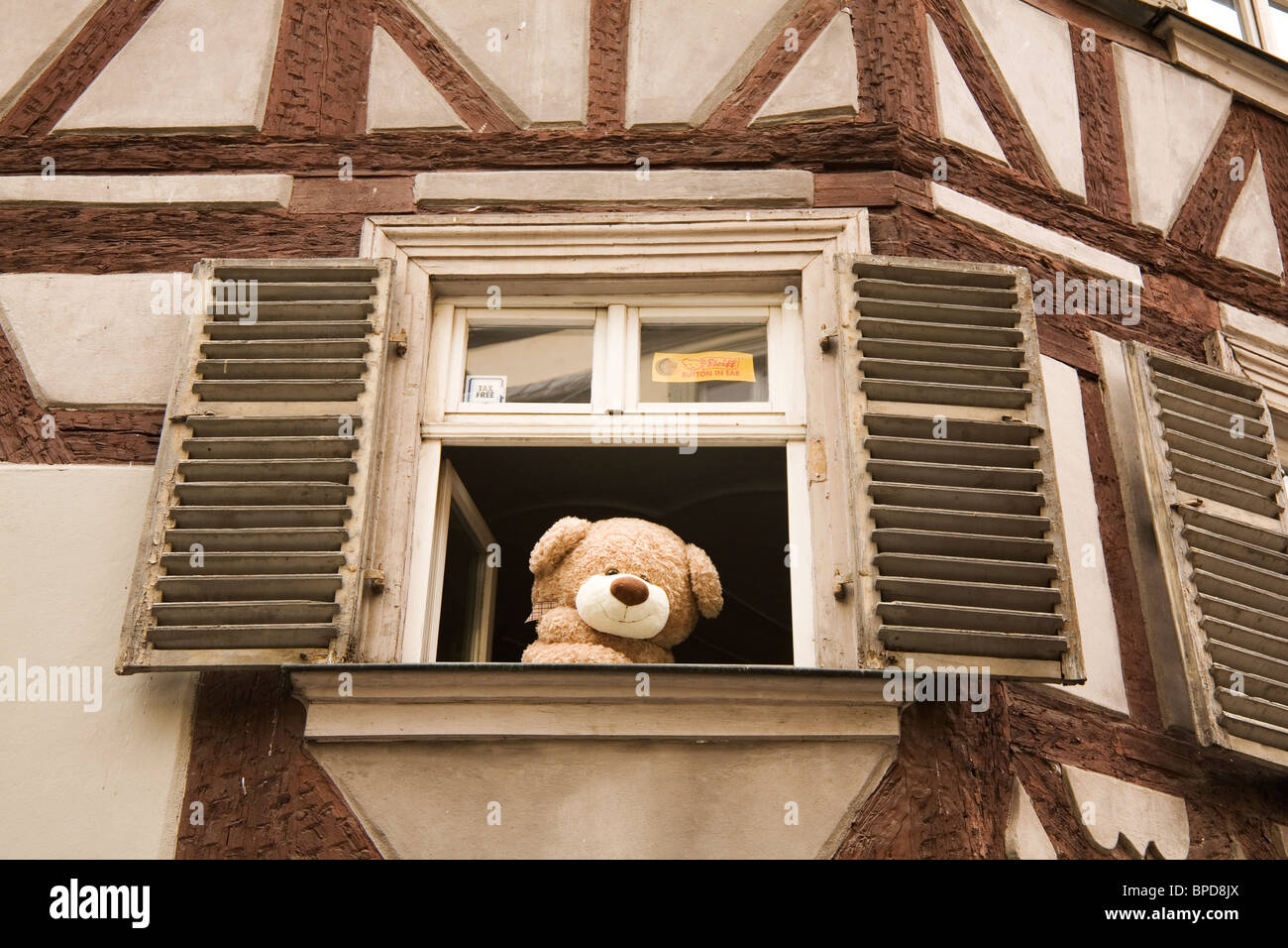 Un ours regarde vers le bas d'une vitrine dans l'Altstadt (vieille ville),  à Bamberg, Bavière, Allemagne Photo Stock - Alamy