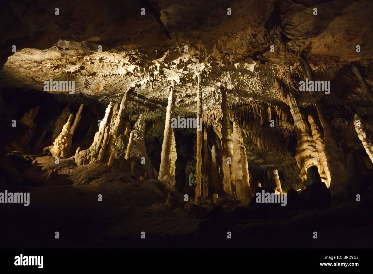 Stalagmites et stalactites dans les Grottes de Han, Han sur Lesse, Wallonie, Belgique Banque D'Images