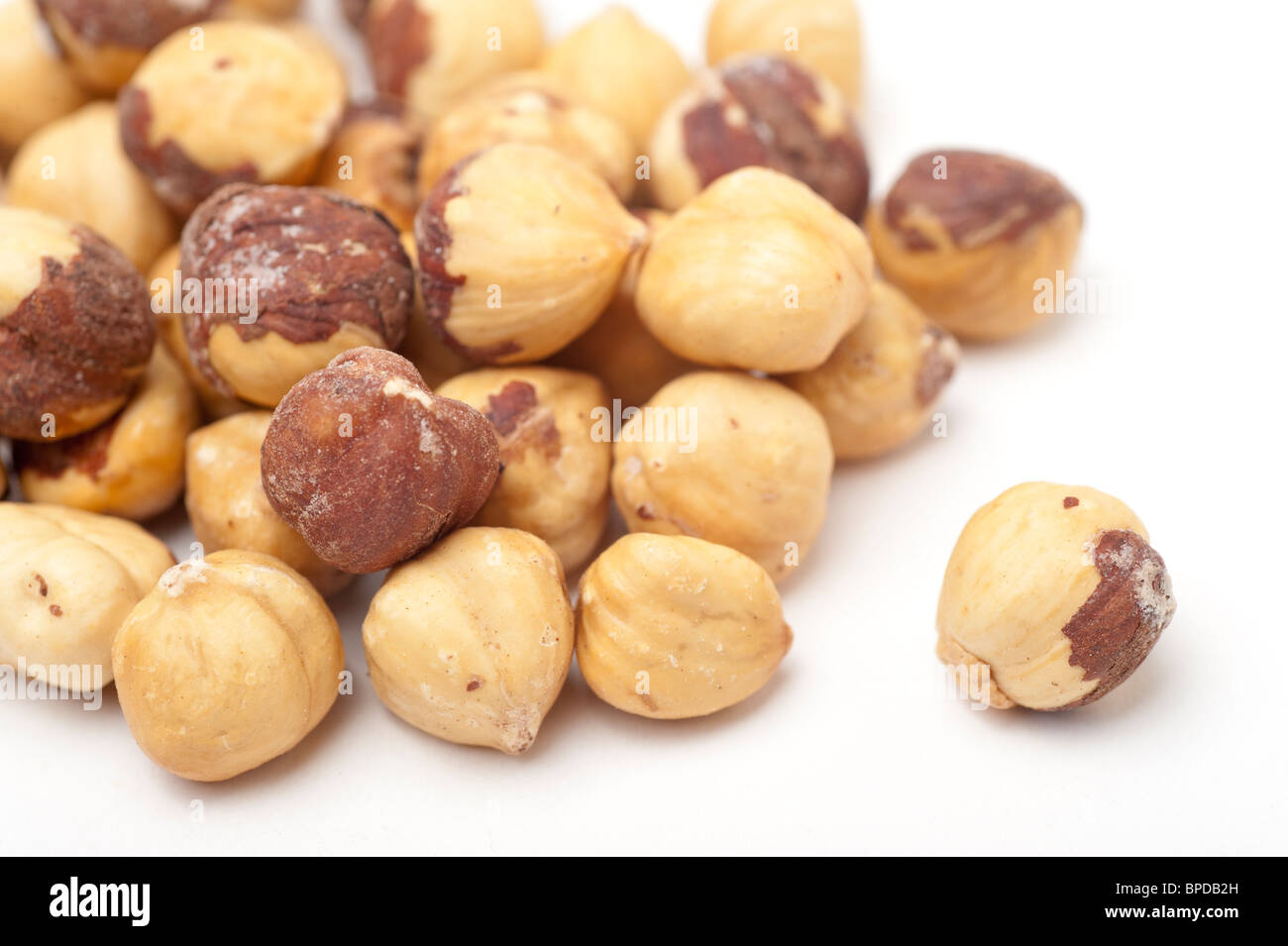 Les Noisettes (Corylus avellana) sur fond blanc Banque D'Images