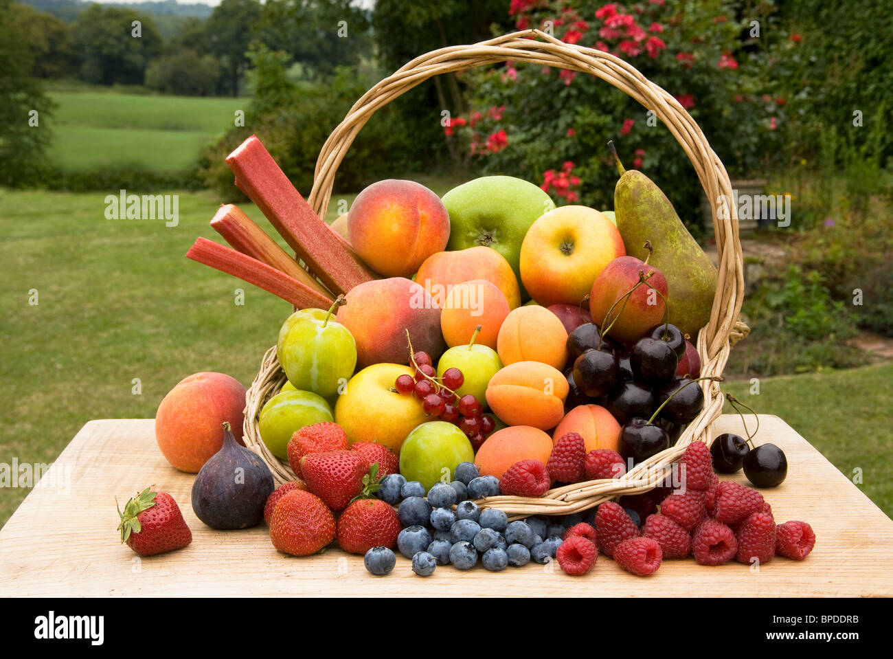 Fruit d'été cultivés localement dans le panier dans le Weald of Kent UK Banque D'Images