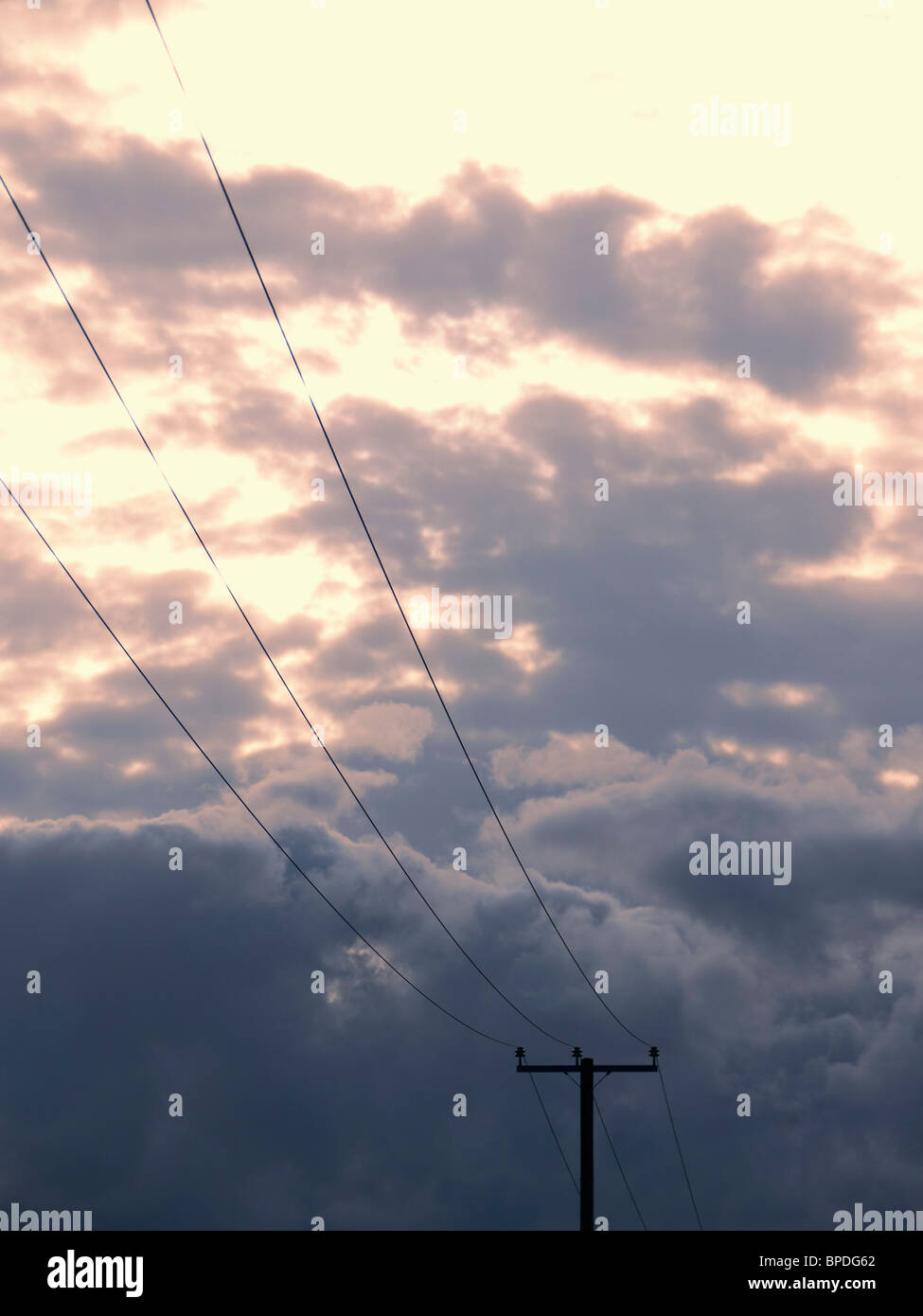 Les câbles téléphoniques et les câbles Banque D'Images