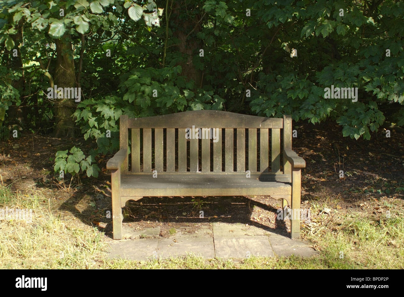 Un banc dans un jardin de campagne Banque D'Images