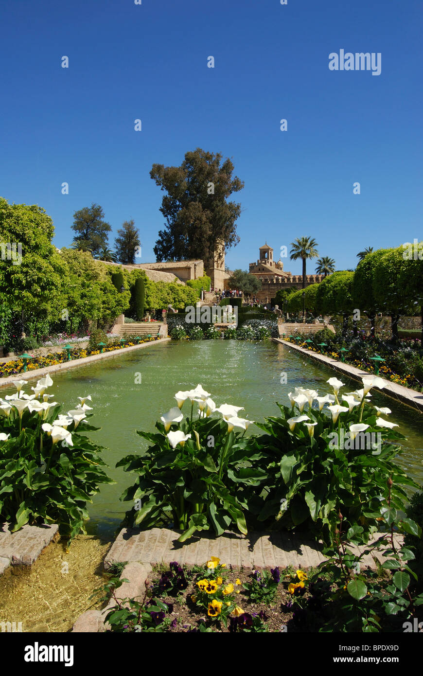 Palace Forteresse des Rois Chrétiens - jardins d'eau, Córdoba, Cordoue, Andalousie, province de l'Espagne, l'Europe de l'Ouest. Banque D'Images