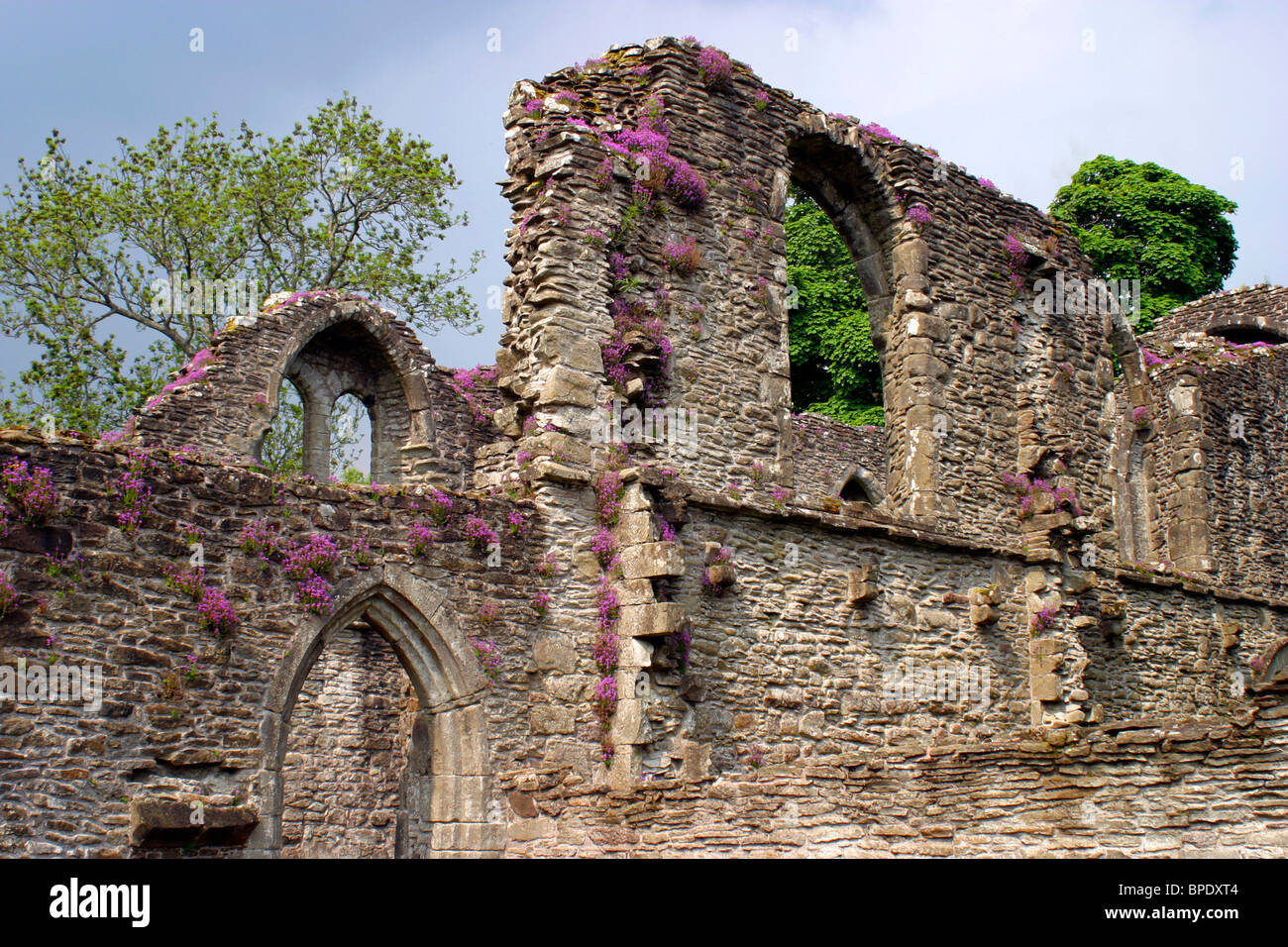 Grande-bretagne, Royaume-Uni, Ecosse. Ruines de Lochleven Castle. Banque D'Images