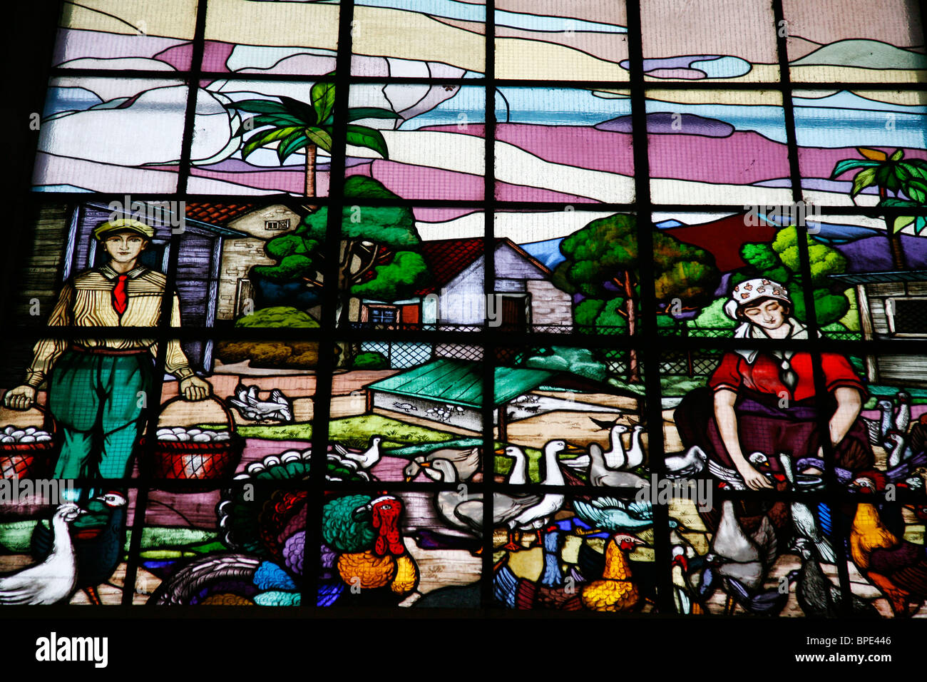 Vitraux à Mercado Municipal, Sao Paulo, Brésil. Banque D'Images