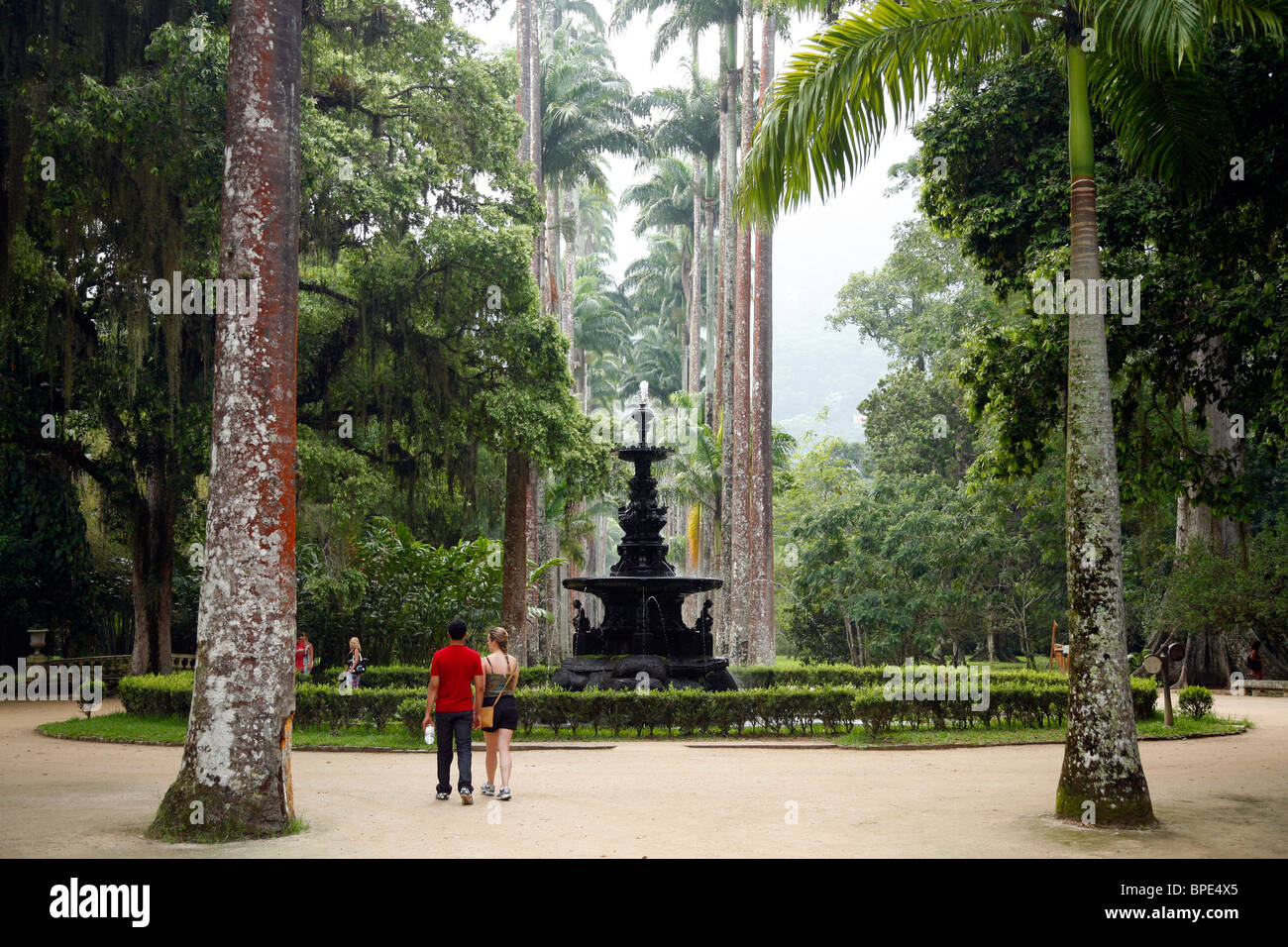 Jardim Botanico ou les jardins botaniques, Rio de Janeiro, Brésil. Banque D'Images