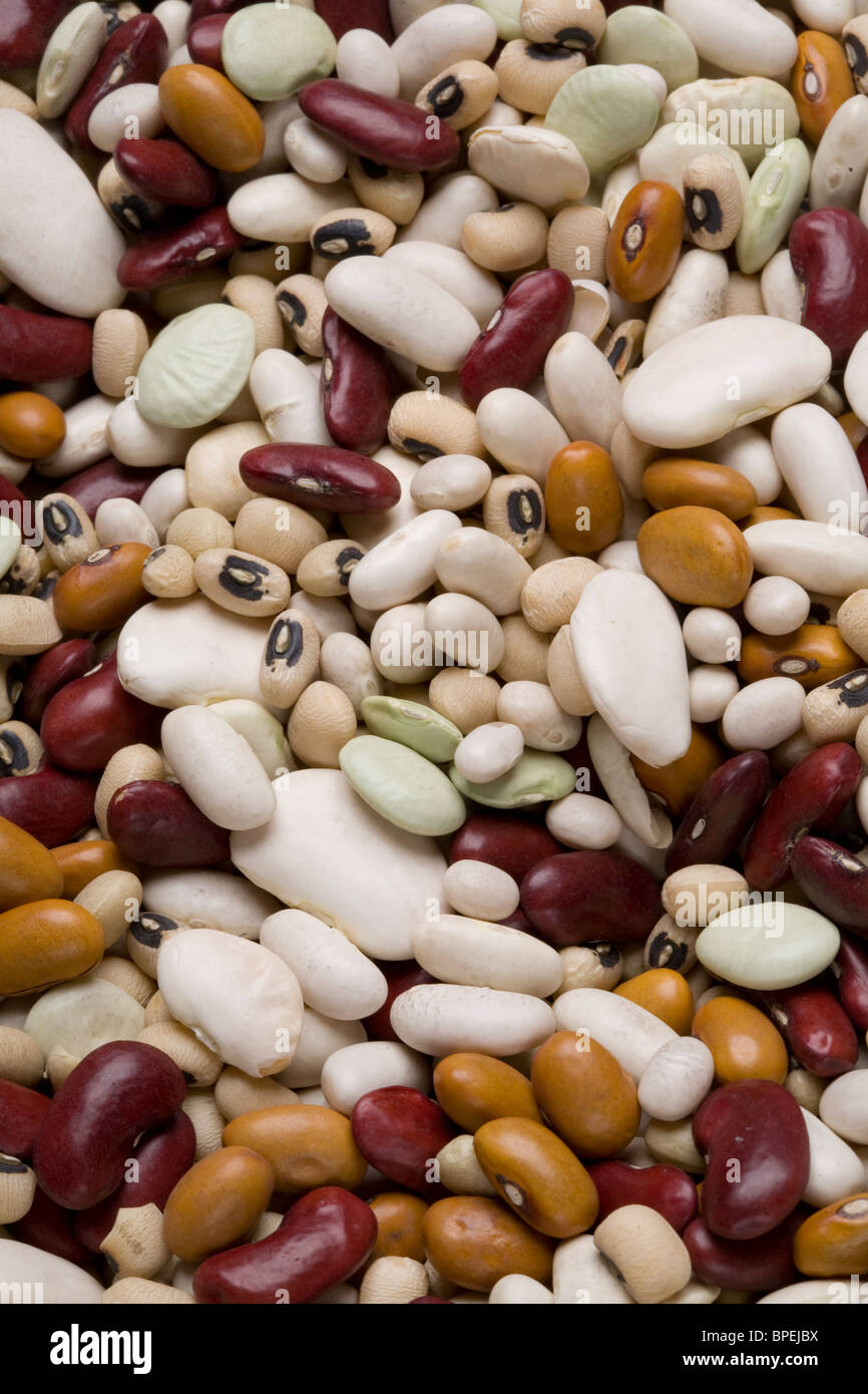 Black Eyed haricots haricots alubia haricots bruns hollandais bébé haricots haricots de lima haricots beurre haricots Banque D'Images