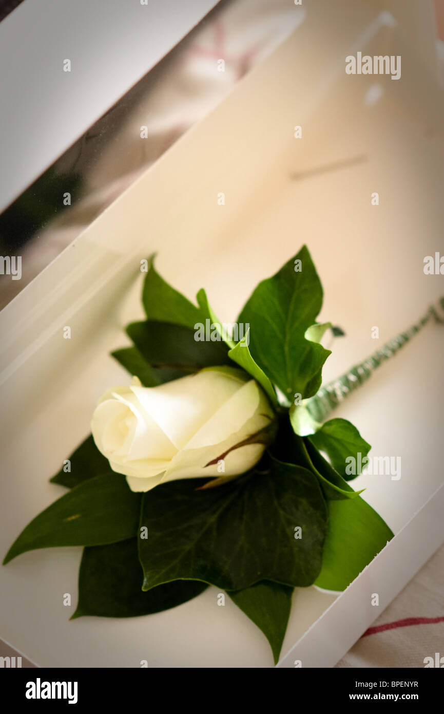 Fleurs de mariage Banque D'Images