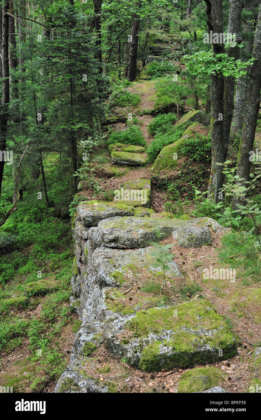 Le mur païen / Mur Païen en forêt près de Mont Sainte-Odile, Vosges, Alsace, France Banque D'Images