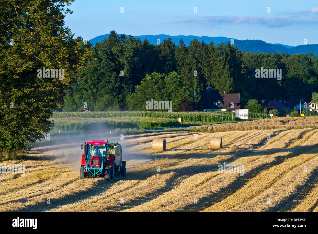Un ouvrier produit des balles de foin rondes avec une Krone Vario Pack hay ramasseuse-presse. Banque D'Images