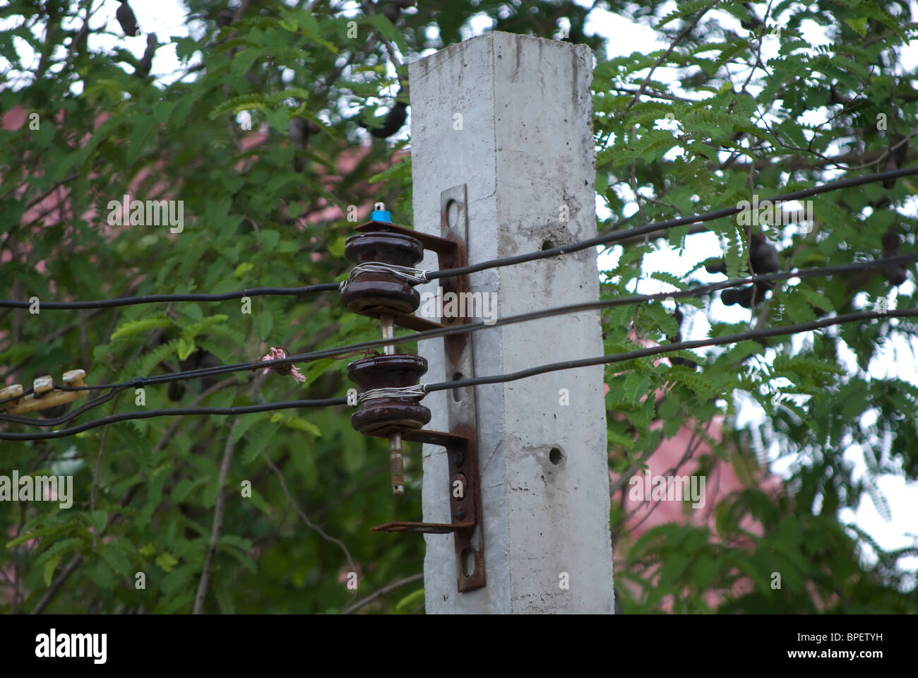 Les câbles téléphoniques sur un poteau à phetchabun, Thaïlande, Asie du sud est Banque D'Images