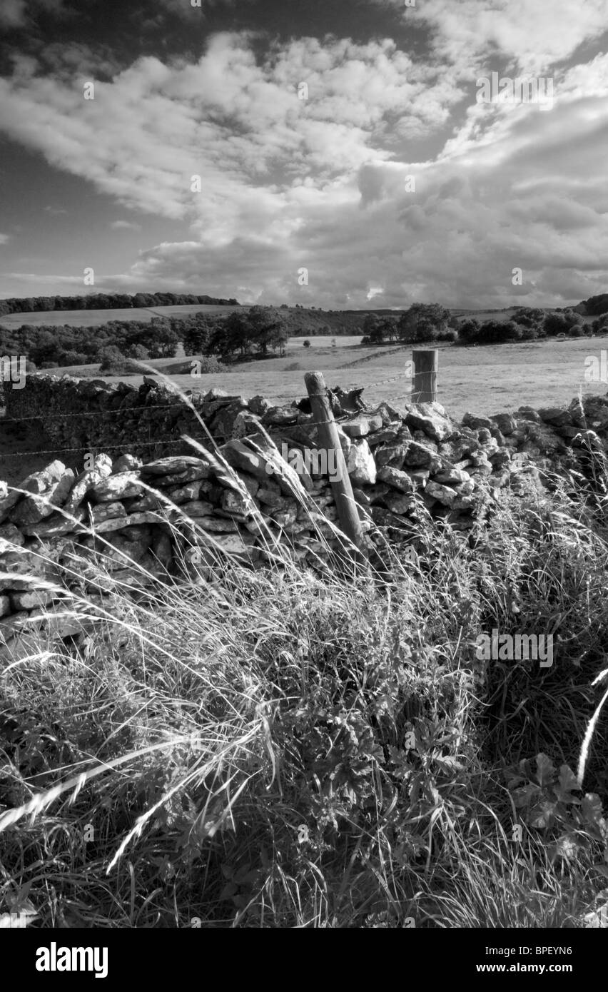 Photographie en noir et blanc d'un mur en pierre sèche et le paysage au-delà dans le Derbyshire Peak District Banque D'Images