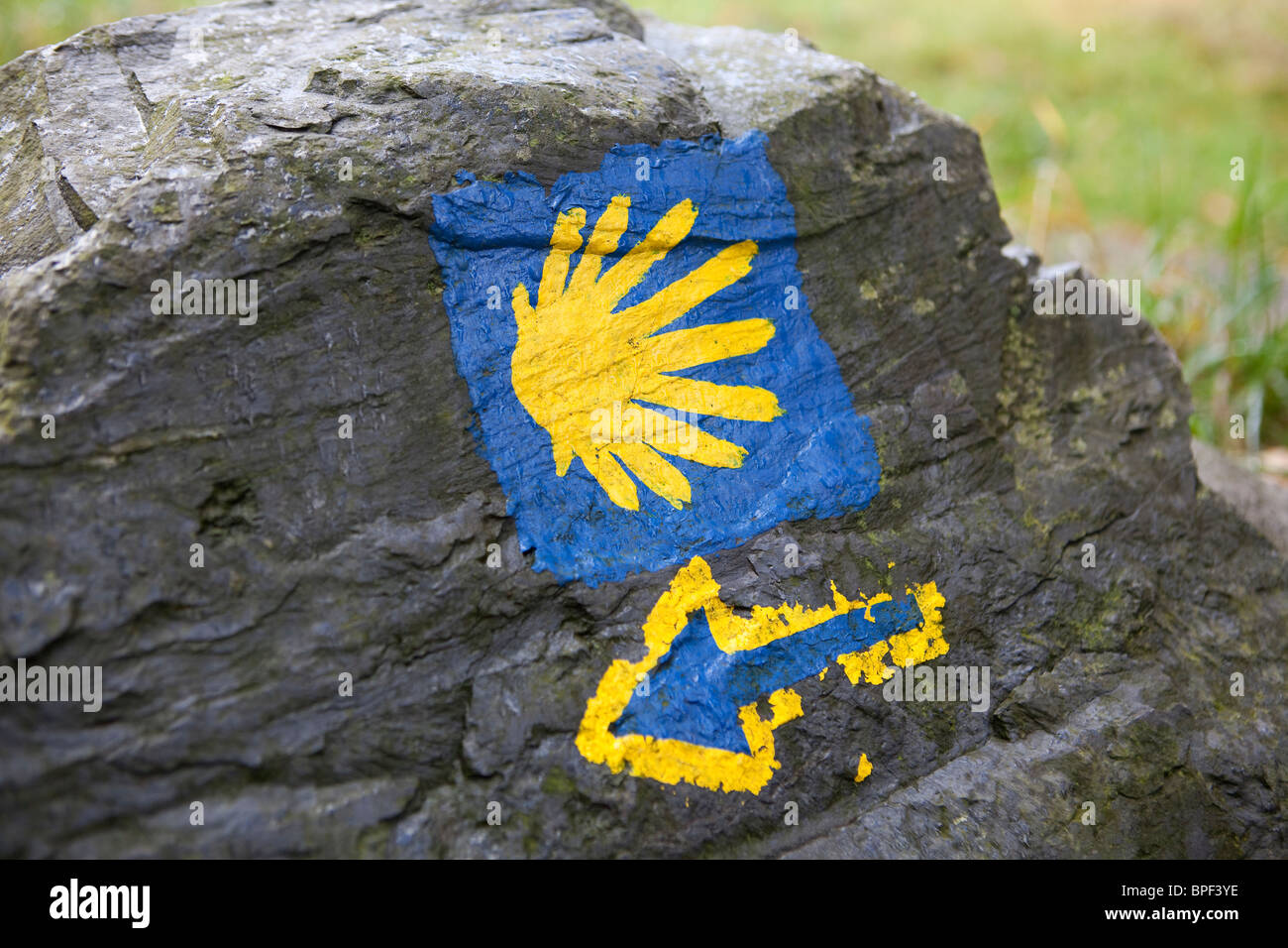 Le signe de la Camino de Santiago trail sur une pierre Banque D'Images