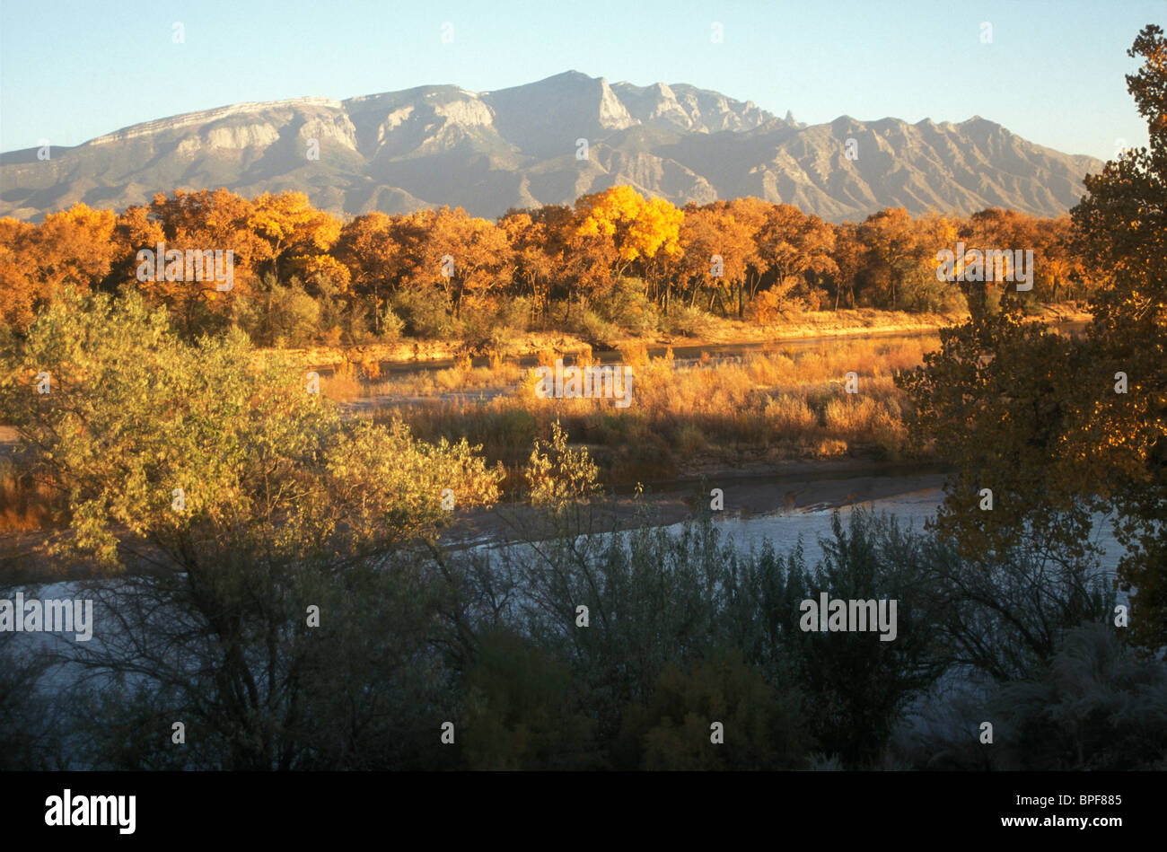 Couleurs d'automne le long du Rio Grande à Albuquerque, New Mexico, USA Banque D'Images