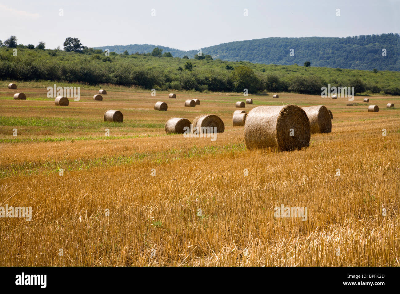 Balle de la paille sur les acres Banque D'Images