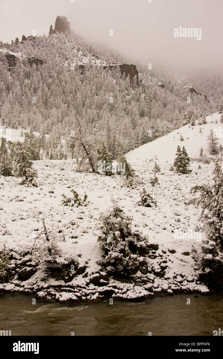 Forêt et rochers dans un paysage couvert de neige, forêt nationale de Shoshone au Wyoming, USA Banque D'Images