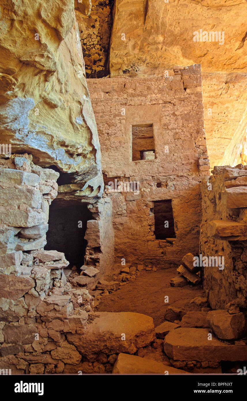 Eagle Nest House, ruines d'une ancienne falaise Puebloan village d'habitation dans le parc tribal Ute Mountain près de Cortez, Colorado, USA Banque D'Images
